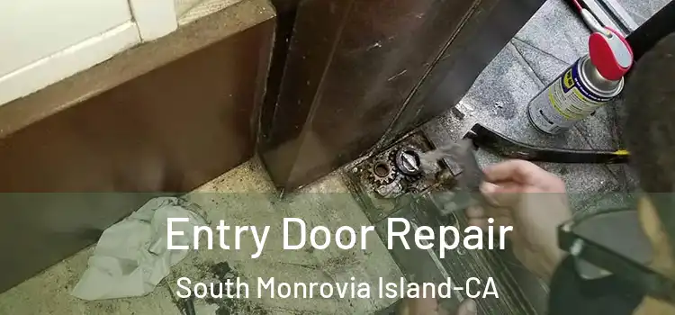  Entry Door Repair South Monrovia Island-CA